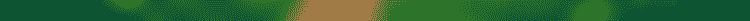 bg-4